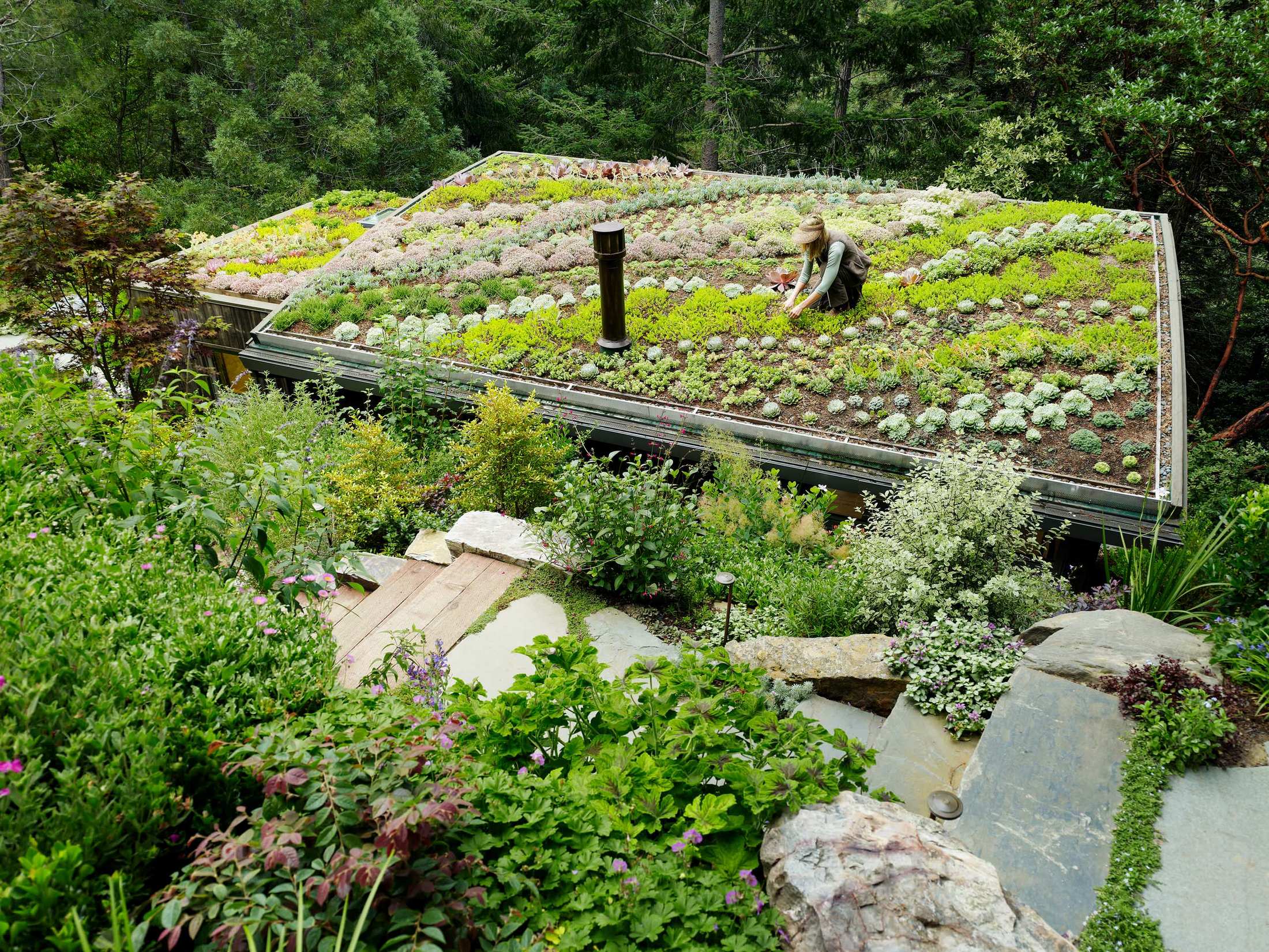 house-rooftop-garden-08