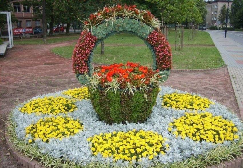 цветы клумбы дизайн фото