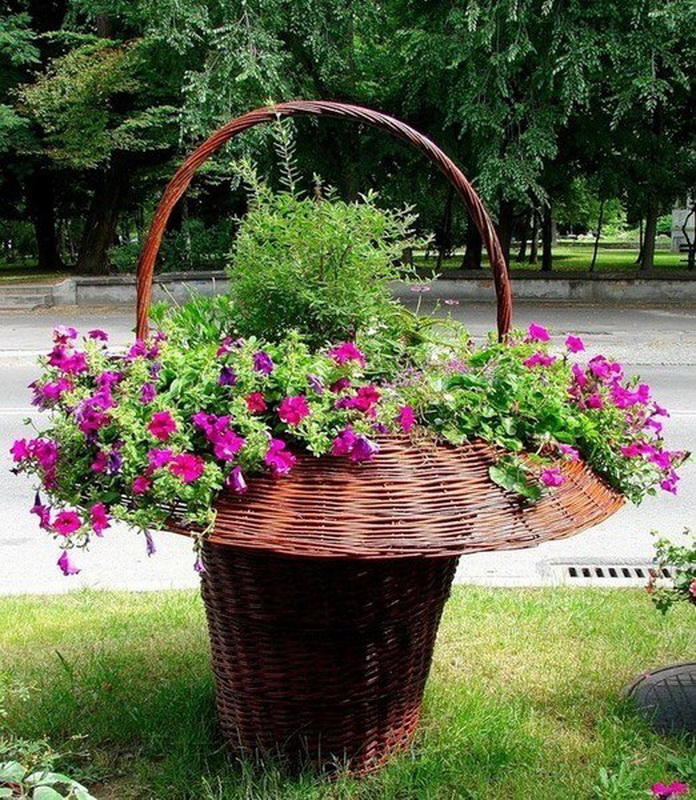 дизайн многолетних клумб
